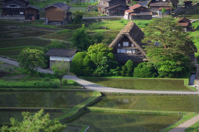 岐阜県の白川郷